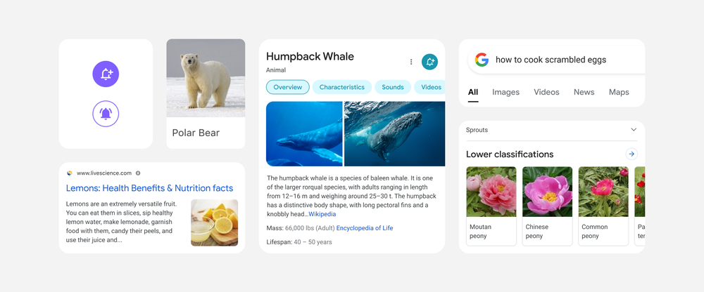 全新搜索排版!Google发布Google Search手机版新界面:搜索结果更集中显示,使用颜色突出显示重要内容等!