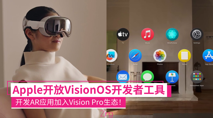 visionpro 1